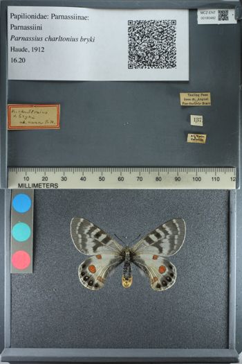 Media type: image;   Entomology 180482